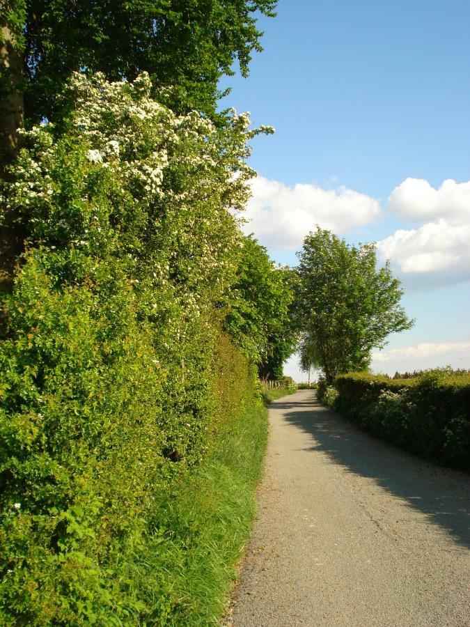 Location Panoramagreen 부르그로랜드 외부 사진